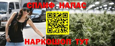 мдпв Кунгур