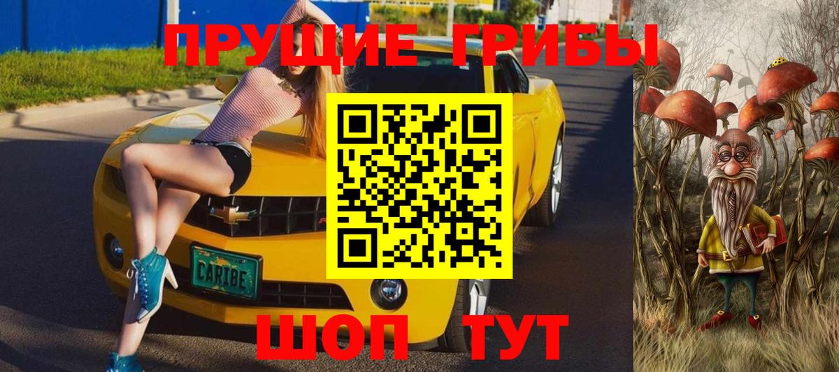 где купить наркоту  Вход с VPN  Шебекино  Галлюциногенные грибы мухоморы 